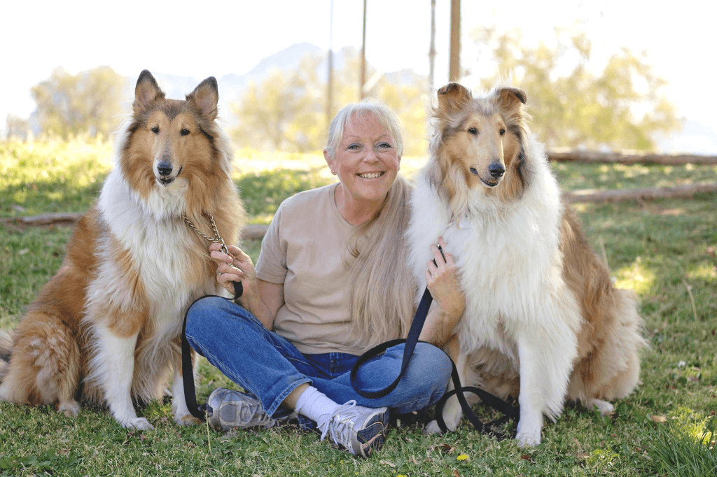 Master's Kennels Home of Dog University